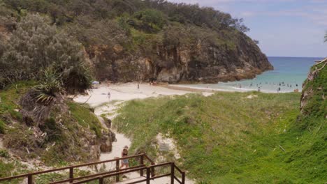 coastal vegetation on headland park with tourists at main beach in point lookout, north stradbroke island, qld australia