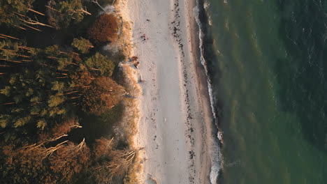 baltic sea from a top-down perspective