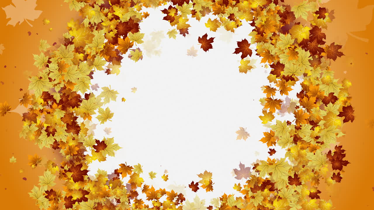 Autumn maple leaves in round frame. Yellow wreath of tree leaves on white background. Looped motion graphics.