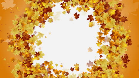 autumn maple leaves in round frame. yellow wreath of tree leaves on white background. looped motion graphics.