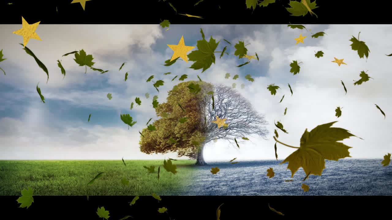 Leaves and stars floating in, swirling around central tree over grass-water showing seasonal change