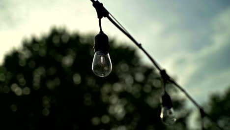 rodeando una luz de patio con un árbol en el fondo durante una puesta de sol