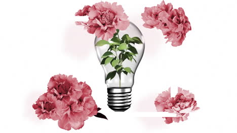 animation of flowers over lightbulb with plant