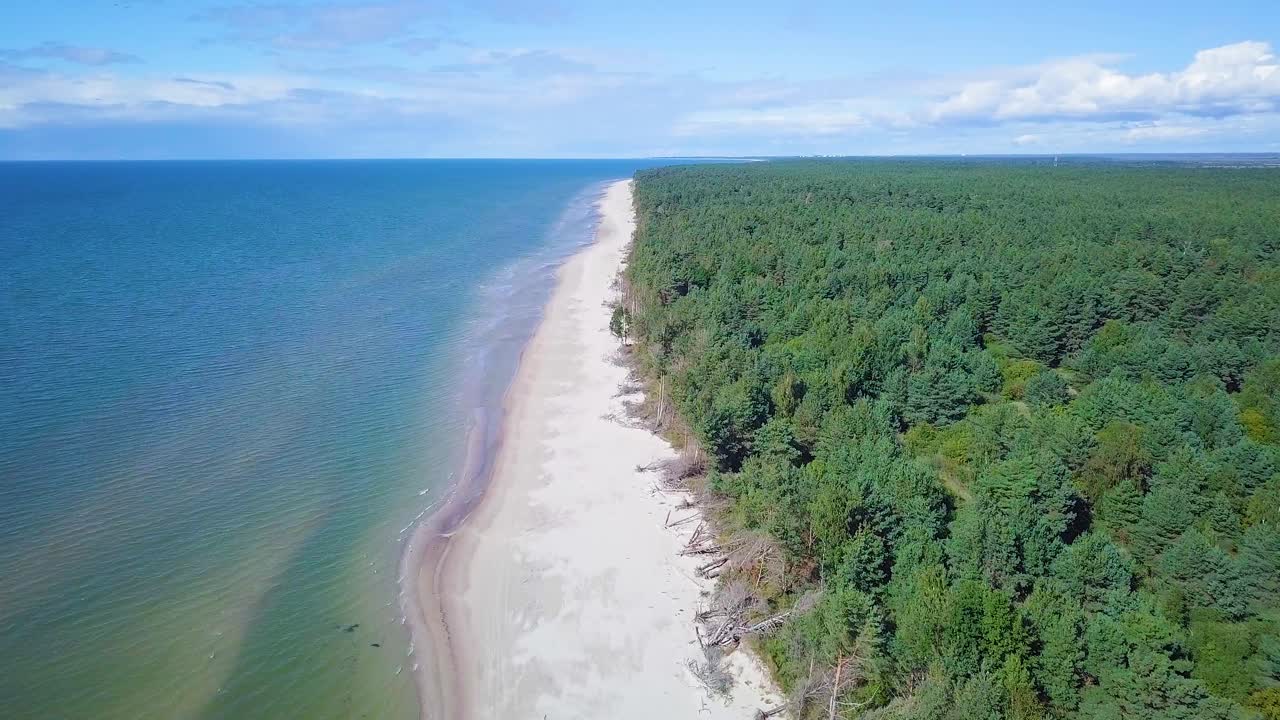 vista panorámica aérea de la costa del mar báltico en un día soleado, dunas de arena blanca dañadas por las olas, pinos rotos, erosión costera, cambios climáticos, disparos de drones de gran angular que avanzan-1