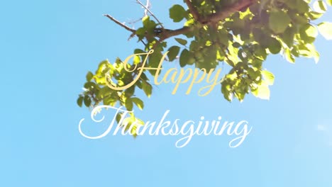 animation of happy thanksgiving text with sunlit leaves on tree branch on blue background