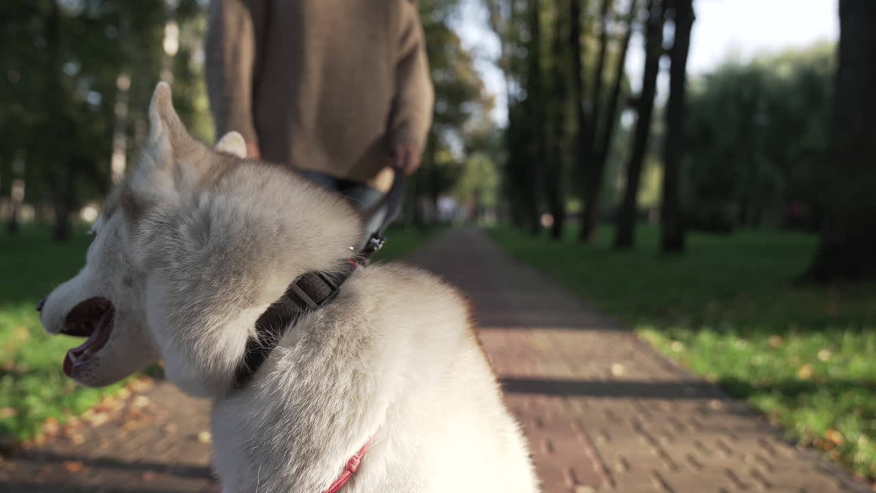 아름다운 시베리아 개