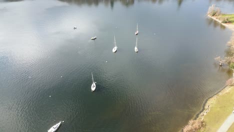 Sailboats-moored-near-the-lake-shore,-rotating-drone-view