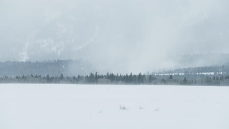 Eine-Große-Schneewolke-Weht-Von-Den-Bäumen-In-Den-Bergen-Im-Westen-Von-Wyoming