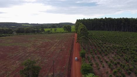 A-close-up-view-of-a-vehicle-moving-through-the-agricultural-fields,-forest,-and-red-soil,-Salto-Chavez-Oberá,-Misiones,-Argentina