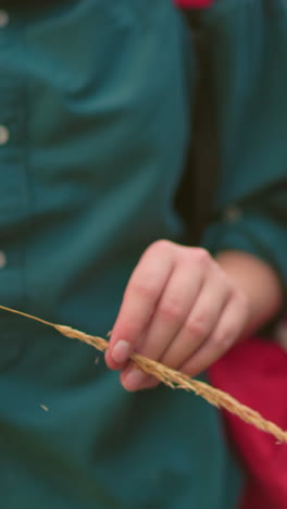 primer plano de una mujer en un sendero forestal, sosteniendo un hilo de hierba y cortándolo juguetónmente, lleva una camiseta verde con una mochila roja, mientras que otra mujer con una bolsa negra es parcialmente visible
