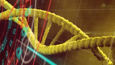 animación del escaneo del alcance sobre la cadena de adn