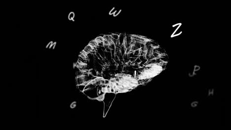 Mehrere-Wechselnde-Alphabete-Schweben-Gegen-Das-Menschliche-Gehirn-Und-Drehen-Sich-Auf-Schwarzem-Hintergrund