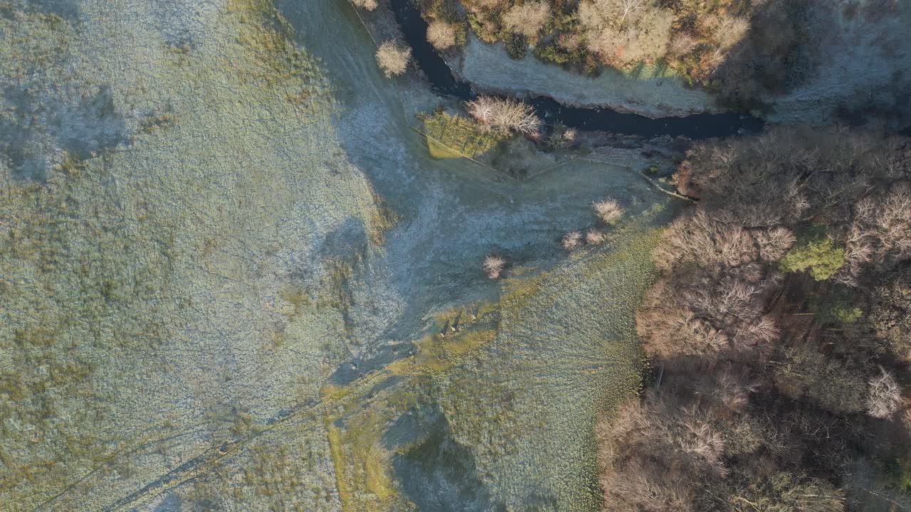 video aéreo volando sobre un río congelado y un bosque de abajo hacia arriba