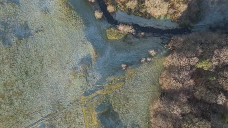 aerial video flying over a frozen river and a forest from the bottom up