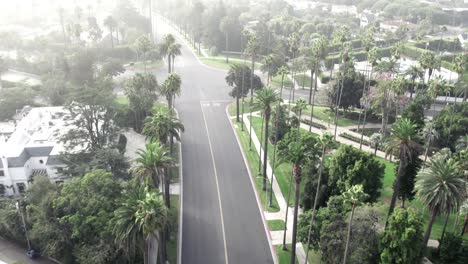 Tiro-De-Drone-Volando-Sobre-Palmeras-Y-Una-Calle-En-Beverly-Hills,-Los-Angeles