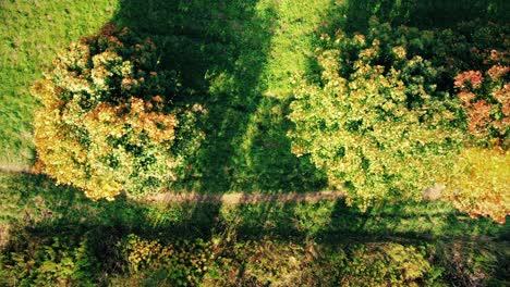 Vista-Superior-Aérea-Sobre-Una-Carretera-Recta-Con-Un-Colorido-Bosque-Otoñal