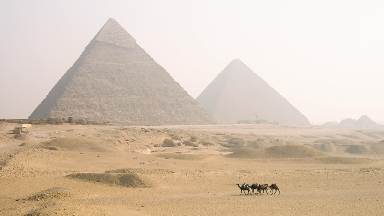 Great Pyramids Of Giza Plateau With Crossing Bedouin Camels In Egypt. Wide Shot