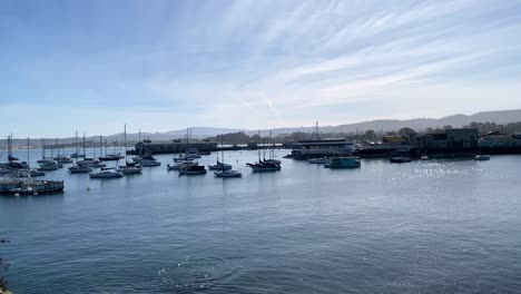 boats moored at monterey wharf, california. panoramic view