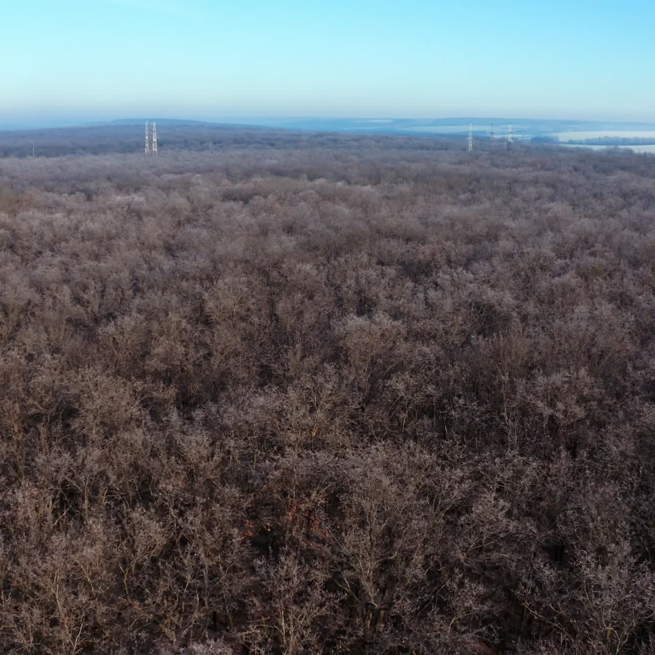 Natural landscape of leafless forest. Panoramic view of nature with naked trees in the wood. Aerial view.