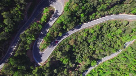 un coche rojo toma giros apretados en una carretera cerca de un bosque