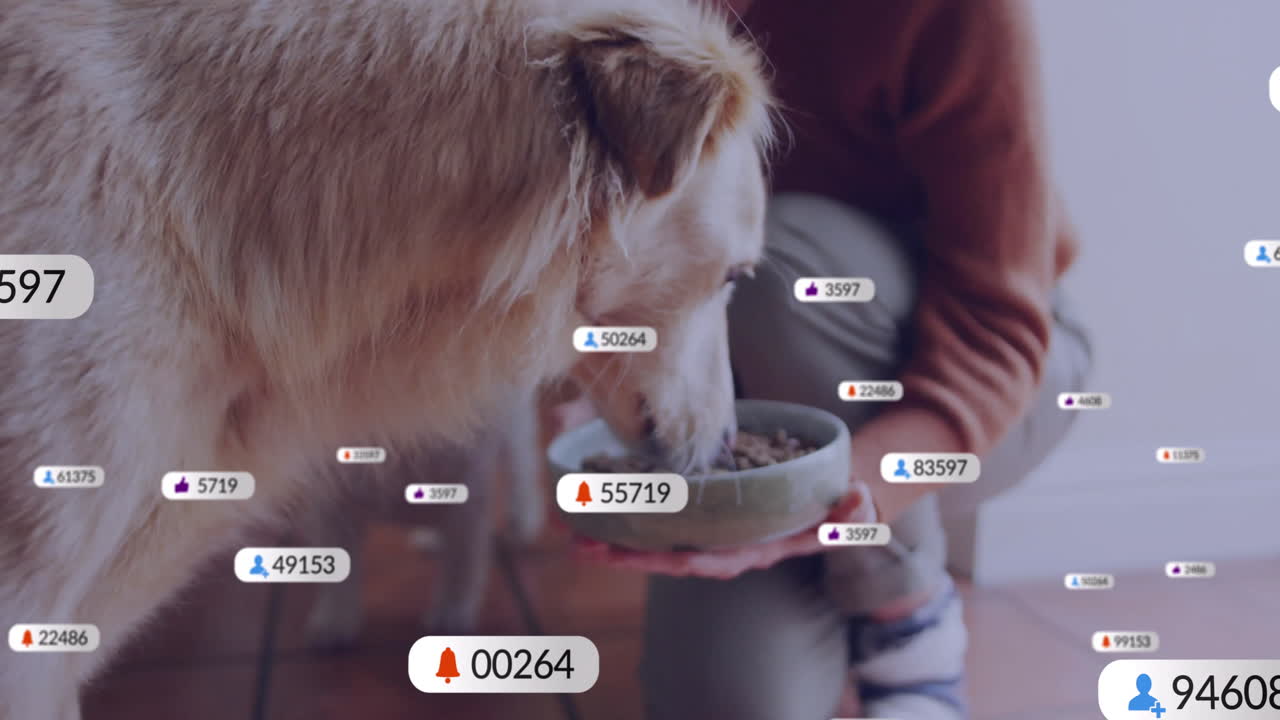 perro comiendo de un cuenco con notificaciones de redes sociales animación sobre la escena