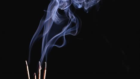 burning incense sticks and smoke isolated on black background. jets of smoke from smoldering incense sticks turn into puffs. slow motion. close up