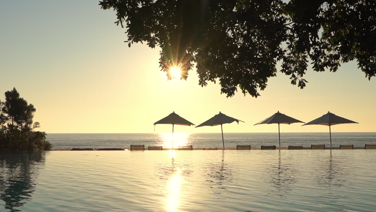 A bright late afternoon sun peeks through the leaves of a tree, as it spills over the top of a line of beach umbrellas