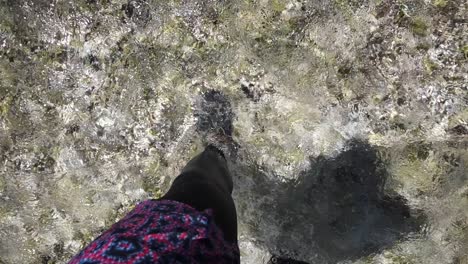 a person walks through shallow, clear water with vibrant shorts seen from an overhead view