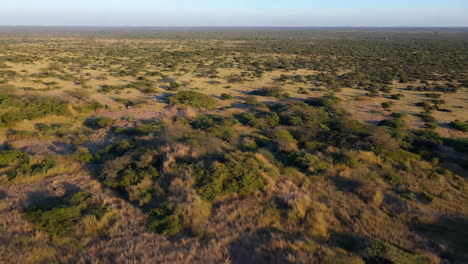 aerial view of a vast arid savanna landscape