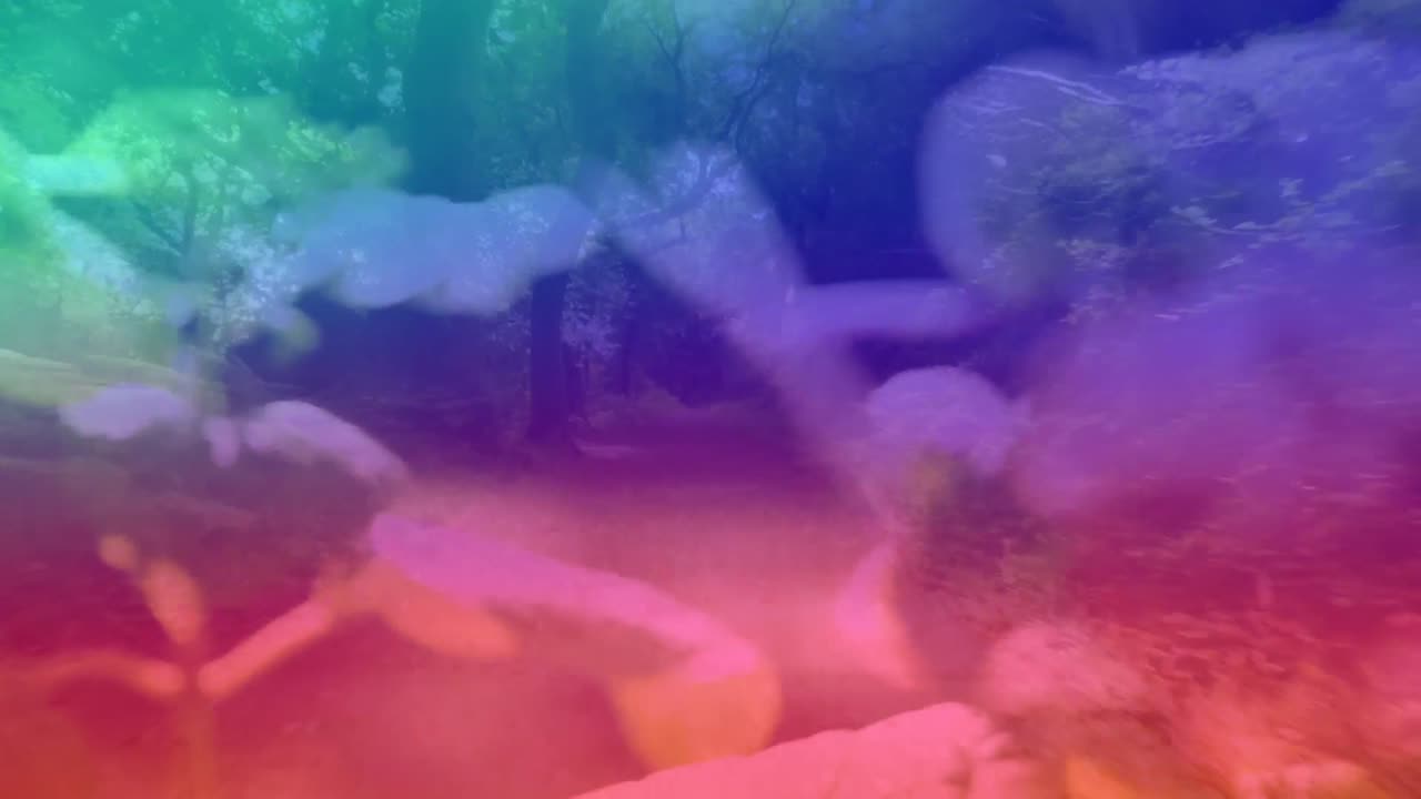 숲과 꽃 위에 다채로운 빛의 애니메이션