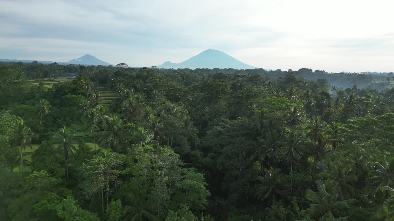 vistas del volcán con el entorno de la selva cerca de ubud en bali, desde el aire