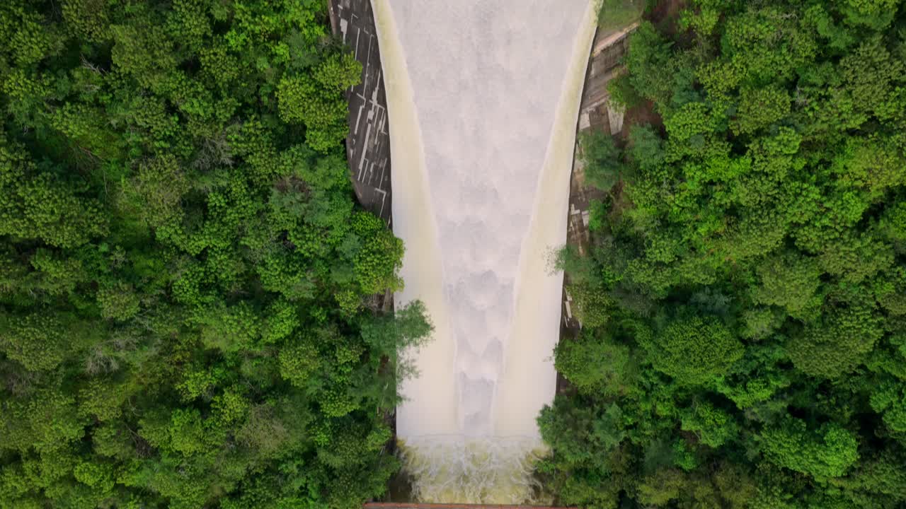 Overhead drone view of Presa El Carrizo overflowing in a curved spillway surrounded by forest