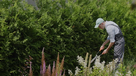 Young-gardener-in-overalls-cuts-trees-in-the-garden