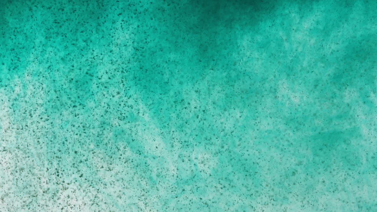 partículas verdes que se ven cayendo lentamente en el fluido