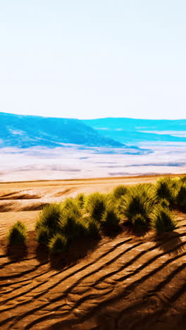 desert landscape with sand dunes and mountains