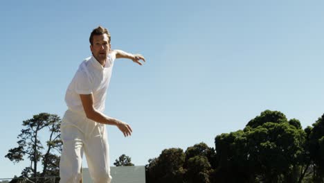 Bowler-delivering-ball-and-appealing-during-cricket-match