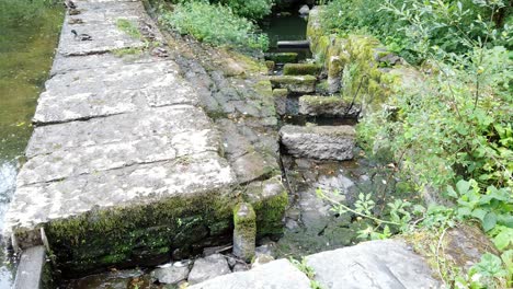 alternating stone reservoir steps leading to overgrown woodland stream