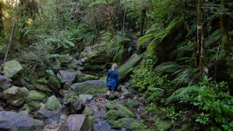 Female-tourist-walks-across-stream-in-dense-Abel-Tasman-rainforest