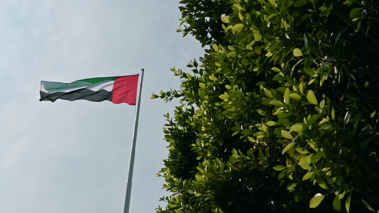 The UAE flag gracefully waves amidst lush green trees at the Abu Dhabi Corniche, embodying the concept of a green future in the United Arab Emirates