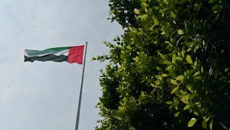 Die-Flagge-Der-Vereinigten-Arabischen-Emirate-Weht-Anmutig-Zwischen-üppigen-Grünen-Bäumen-An-Der-Corniche-Von-Abu-Dhabi-Und-Verkörpert-Das-Konzept-Einer-Grünen-Zukunft-In-Den-Vereinigten-Arabischen-Emiraten