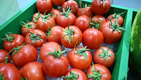 los tomates cultivados localmente se exhiben y se ofrecen para la venta en el festival de agricultura en los emiratos árabes unidos