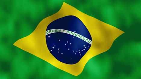 national flag for south american country of brazil