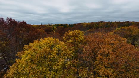 Descendiendo-Cerca-De-La-Costa-Del-Lago-Michigan-En-El-Otoño-De-2023