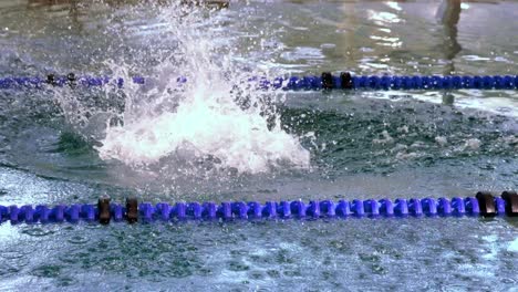 fit swimmer diving into swimming pool