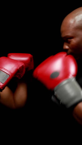 male and female boxer looking at each other