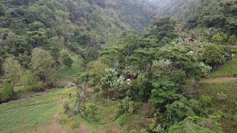 Cascada-Materuni-Por-Drone-Tanzania