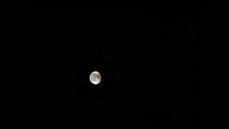 beautiful waning moon moving in the night sky - time lapse