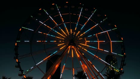 ferris wheel lights at night and palm trees