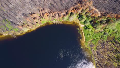 vista aérea muestra los daños después de los incendios forestales en lebel-sur-quevillon, quebec