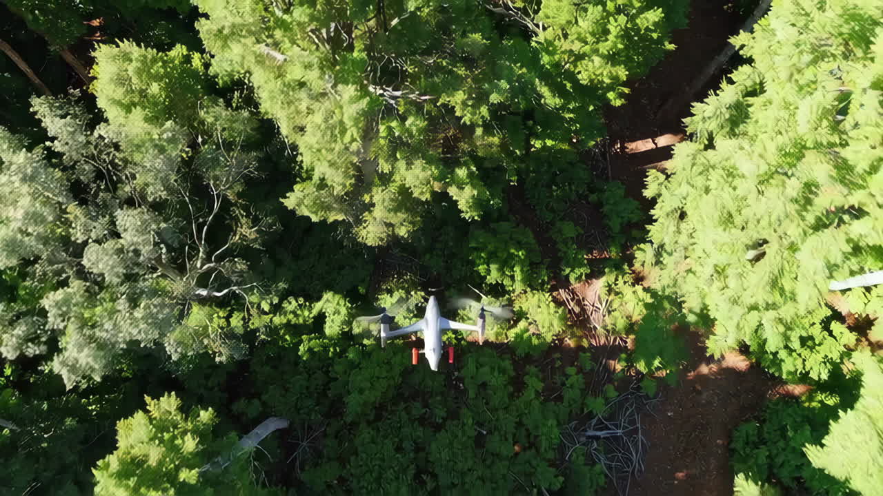 숲 위 를 날아다니는 드론